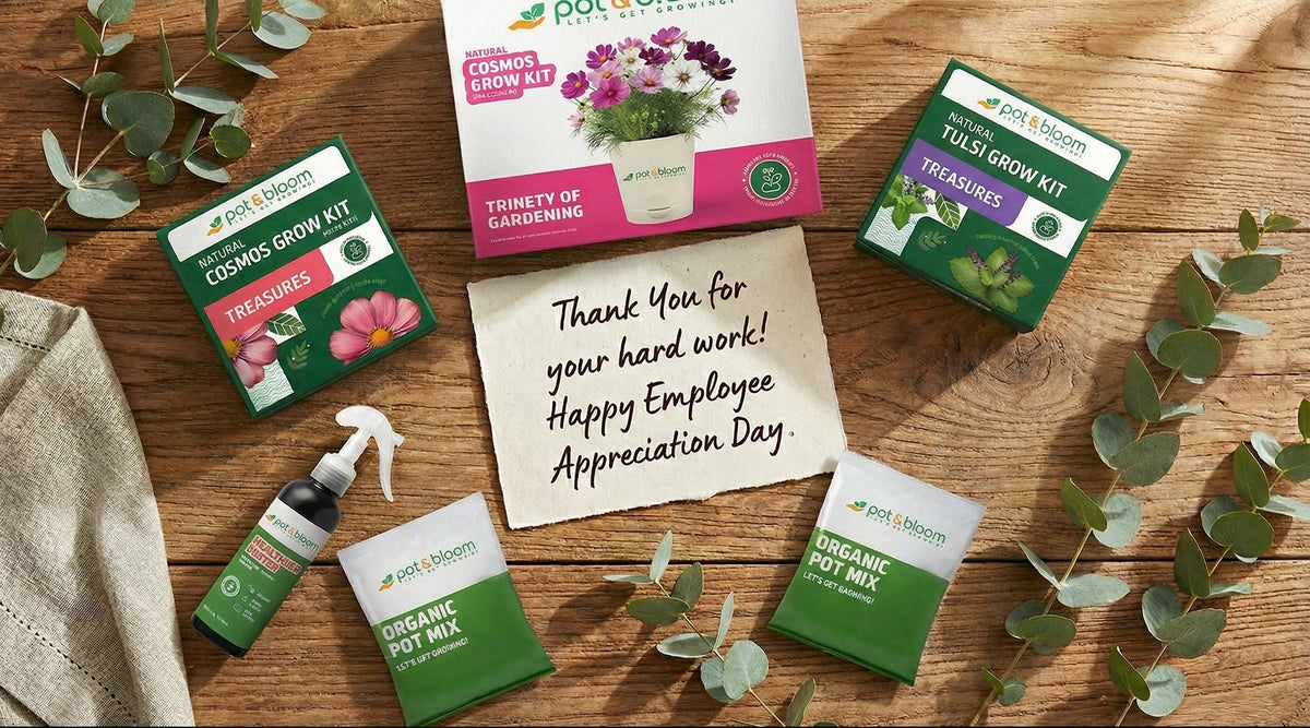 Employee Appreciation Day Gift Ideas That Actually Work
