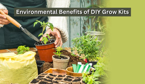 Environmental Benefits of DIY Grow Kits