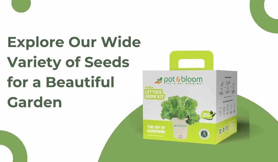 Explore Our Wide Variety of Seeds for a Beautiful Garden