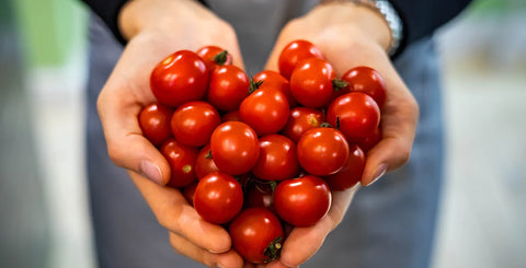 Vegetable Seed Grow-Kits to Grow Plants At Home | Pot & Bloom