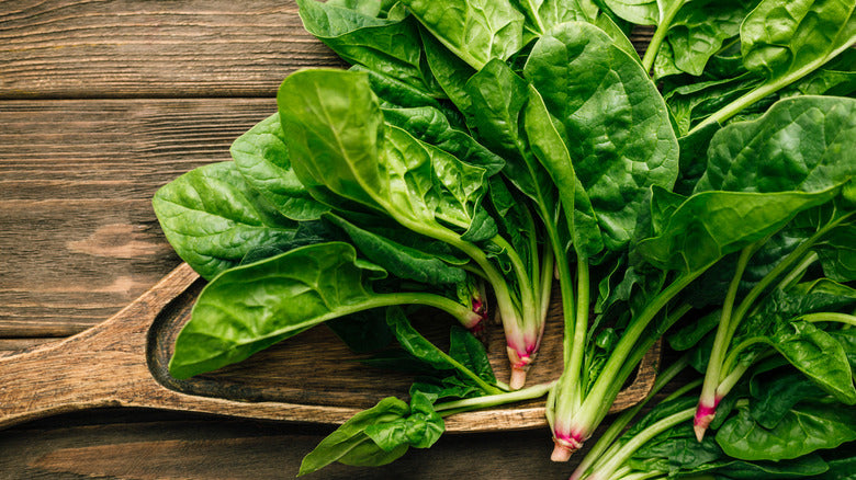Best Winter Season Vegetable Grow Kits for Home Garden