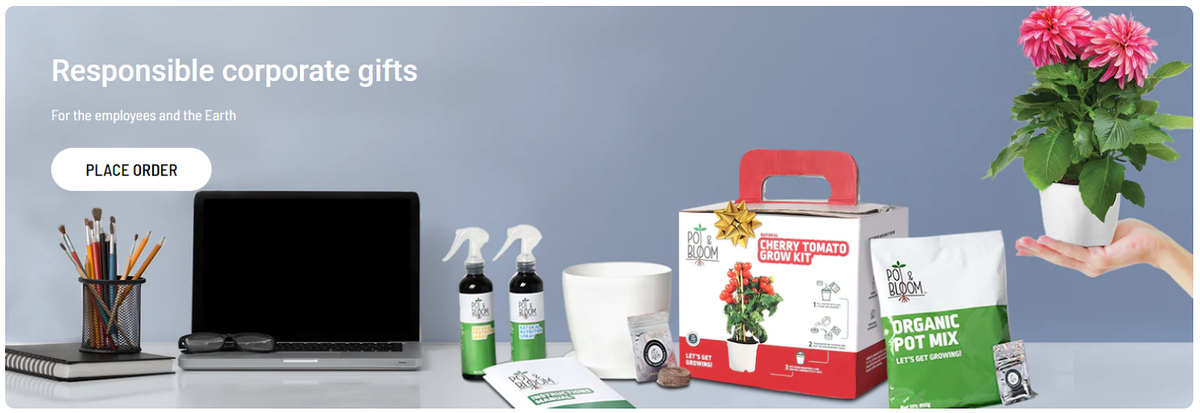 The Benefits of Incorporating Plants into Your Workspace