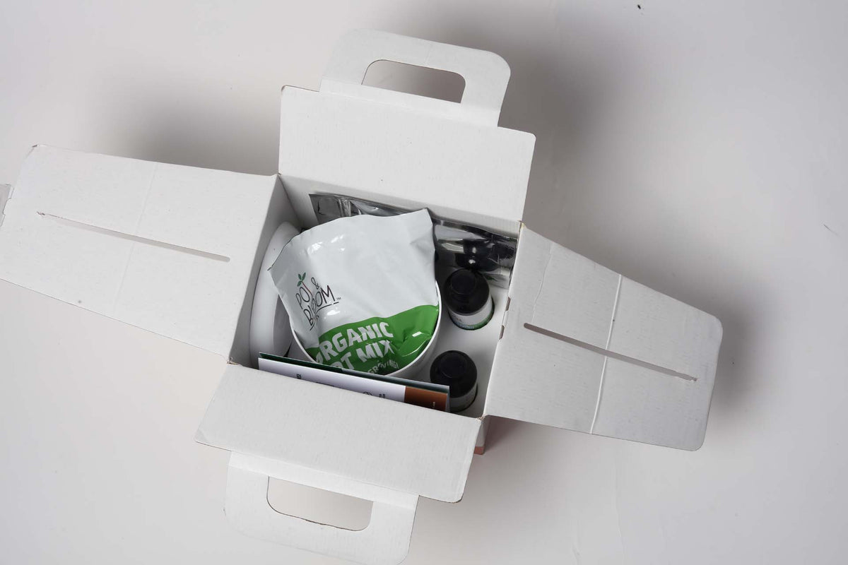 Grow Kits - Pot and Bloom