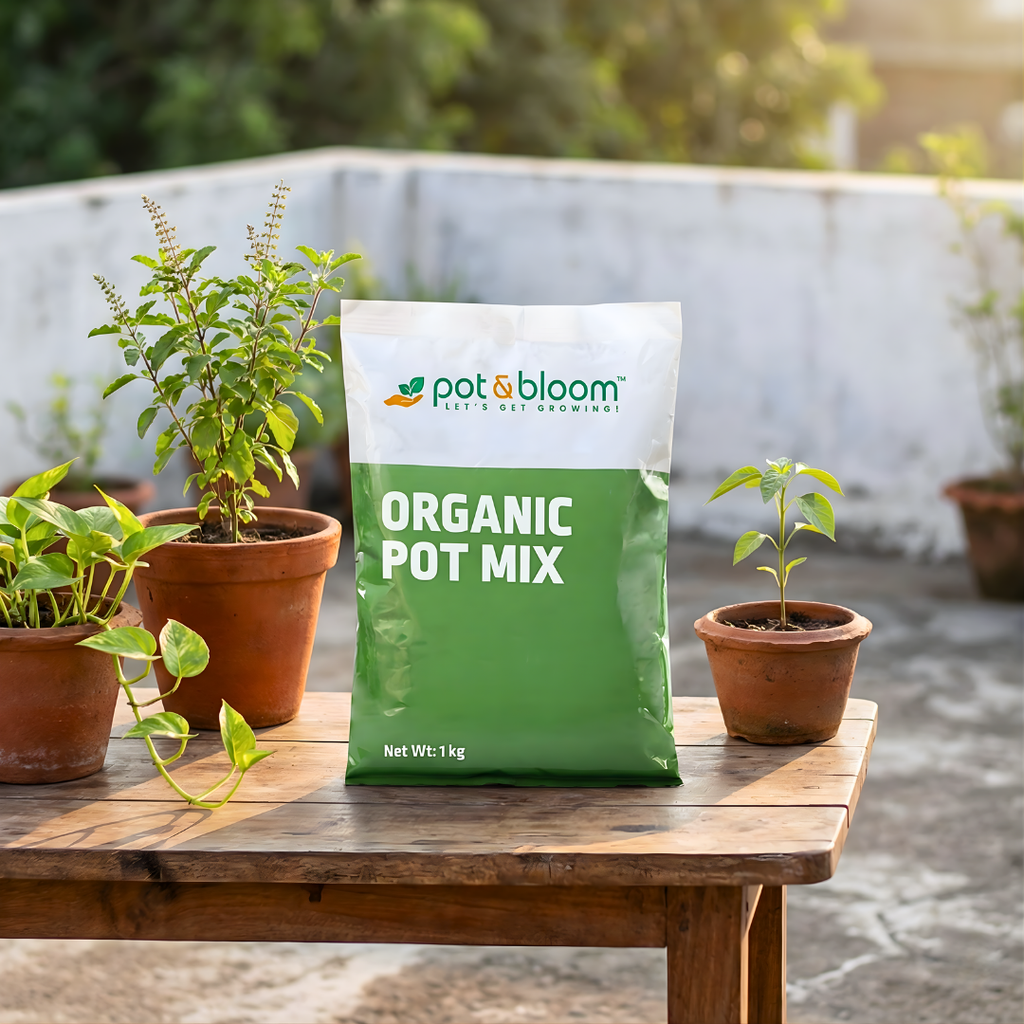 bloom potting mix Buy Pot Mix 1kg Online in India at Best Price