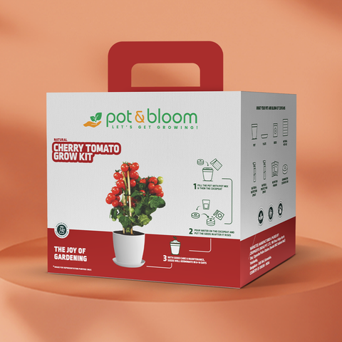 Cherry Tomato Grow Kit (Big)