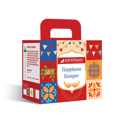 Festive Gift Boxes