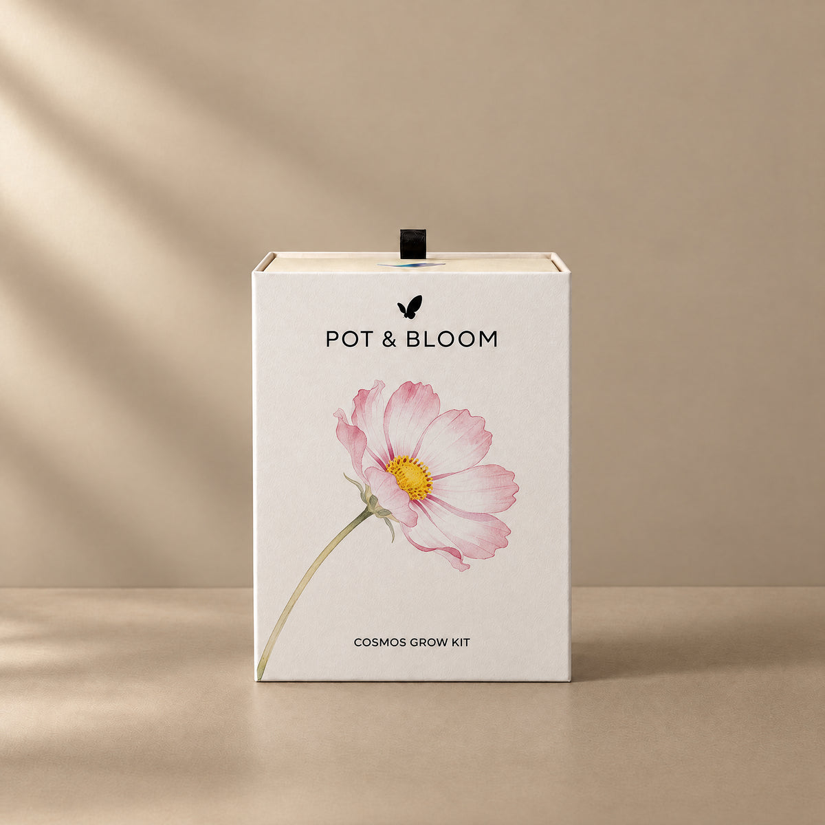 Cosmos Grow Kit