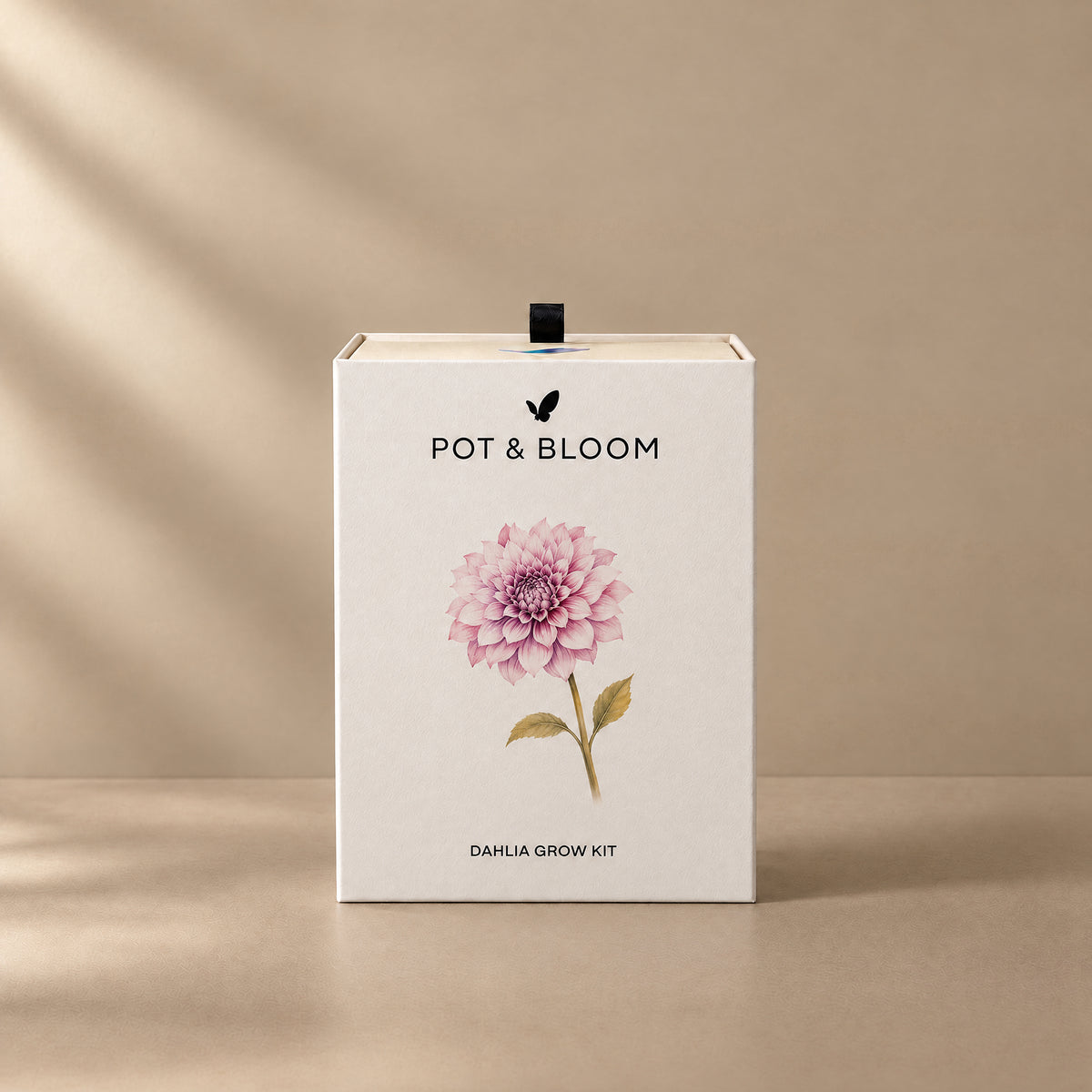 Dahlia Grow Kit
