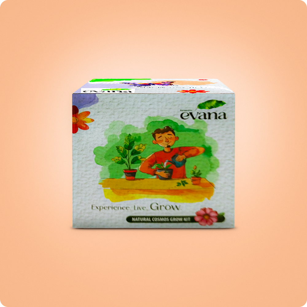 Hamper 10