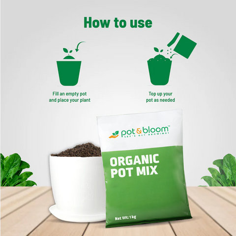 1kg Pot Mix +1 Pot and Plate Combo