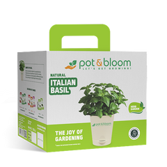 Corporate Wellness Kits
