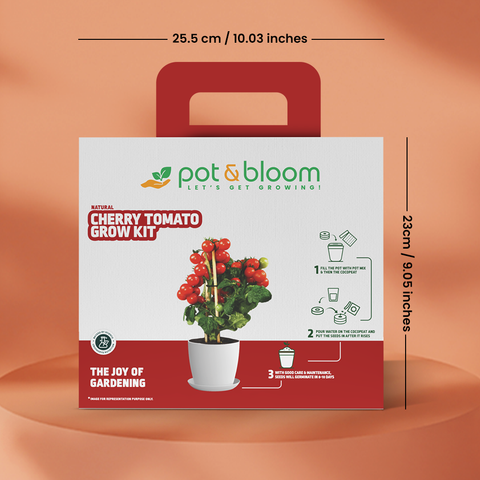 Cherry Tomato Grow Kit (Big)