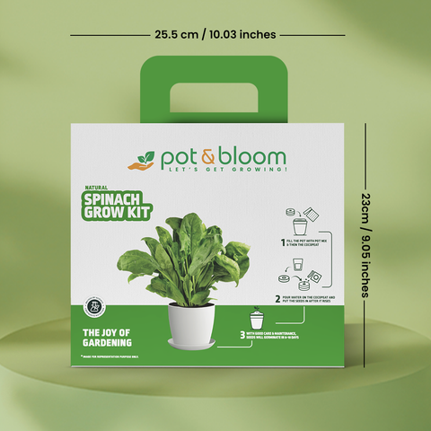 Spinach Grow Kit (Big)