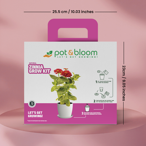 Zinnia Grow Kit (Big)