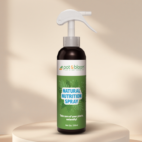 Nutrition Spray 250 ml