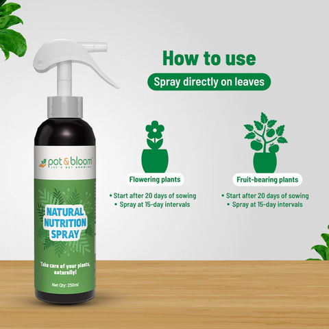 Nutrition Spray 250 ml