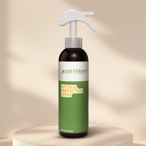 Protection Spray 500 ml
