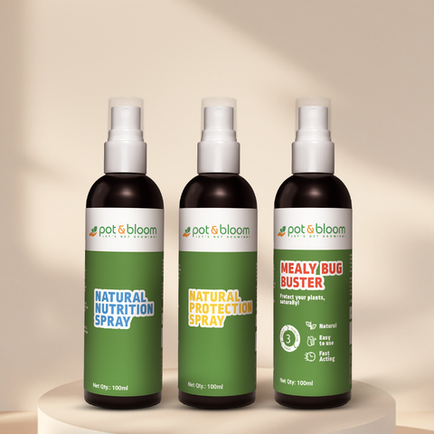 Nutrition Spray + Protection Spray + Mealy Bug 100 ml