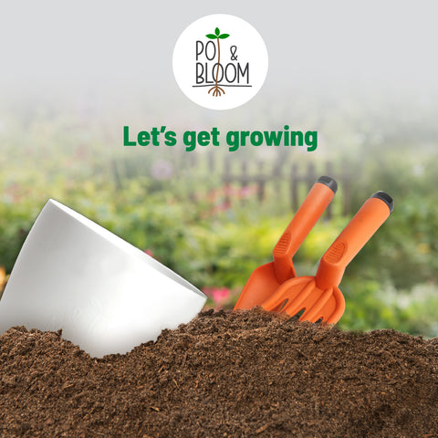 Gardening Tools set