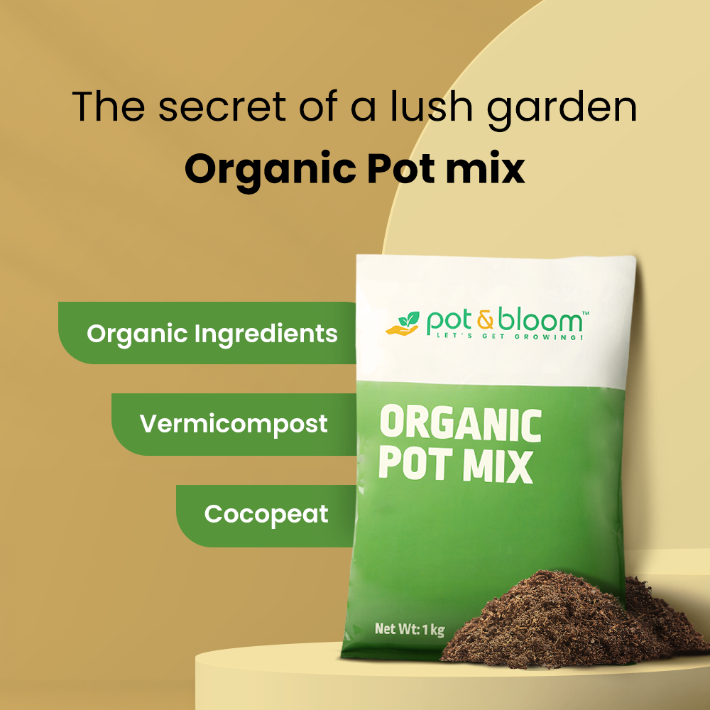 potting mix india Buy Pot Mix 1kg Online in India at Best Price