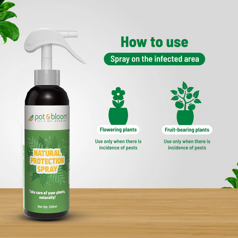 Protection Spray 500 ml