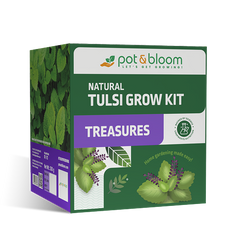 Eco-Friendly Event Giveaways