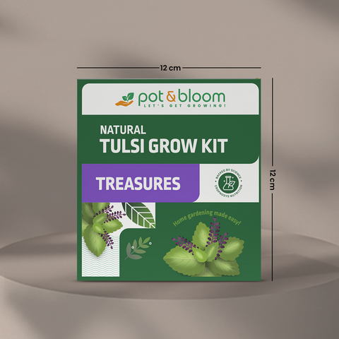 Treasures Tulsi Grow Kit