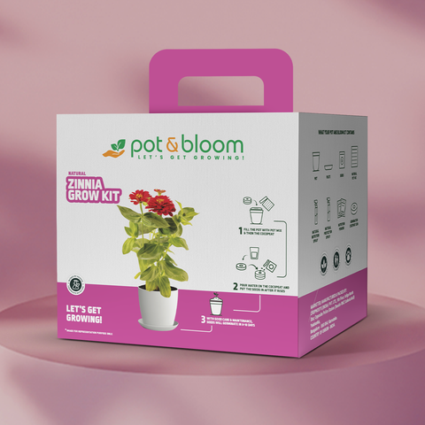 Zinnia Grow Kit (Big)