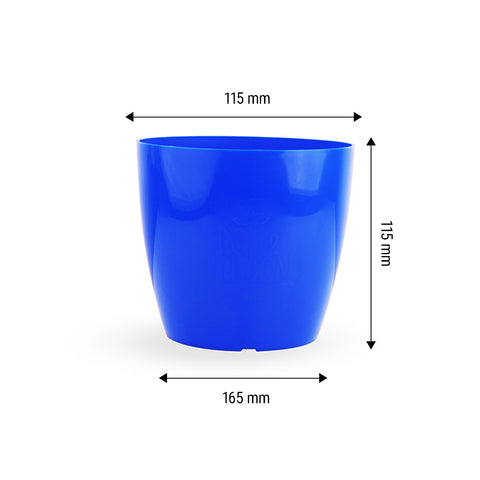 6-inch Pot and Plate set of 5