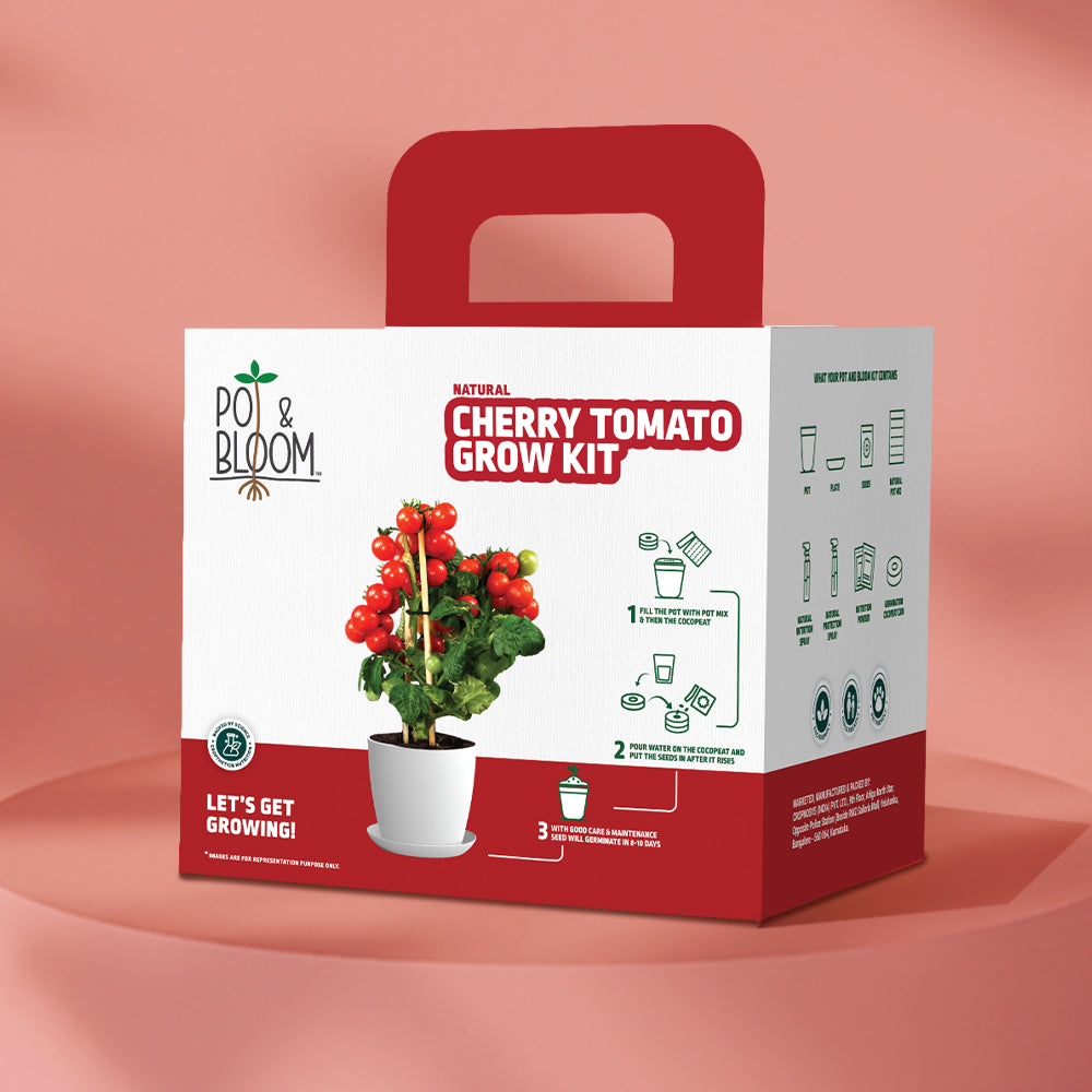 Cherry Tomato Grow Kit Cherry Tomato Grow Kit
