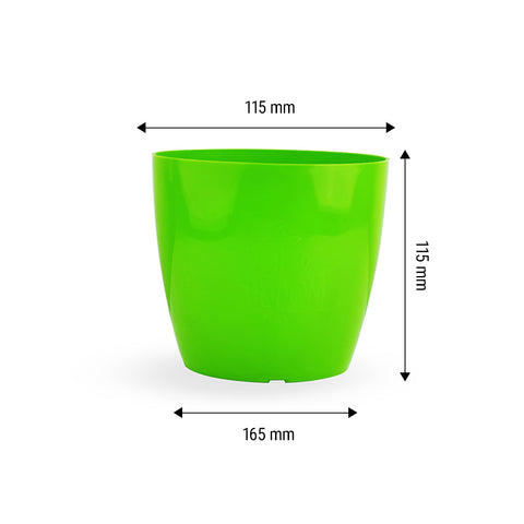 6-inch Pot and Plate set of 5