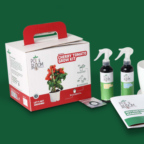 plant growing kit