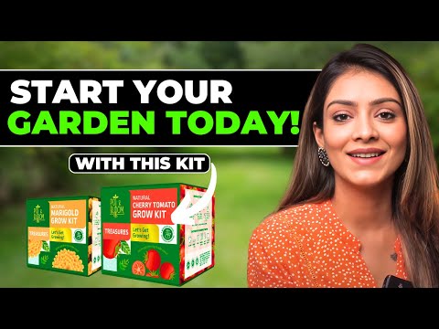 Treasures Basil Kit