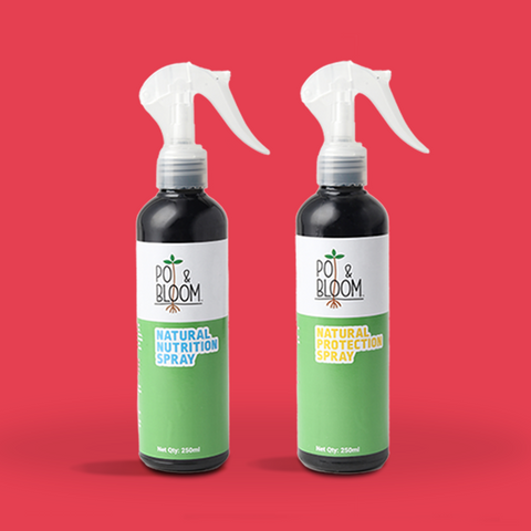 plant protection spray