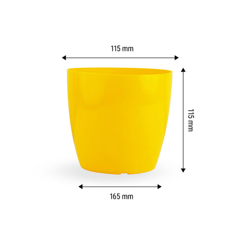 6-inch Pot and Plate set of 5