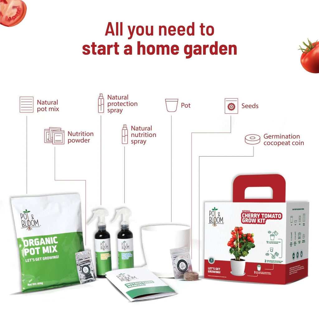 Cherry Tomato Grow Kit Buy Cherry Tomato Seeds Online at Pot and Bloom