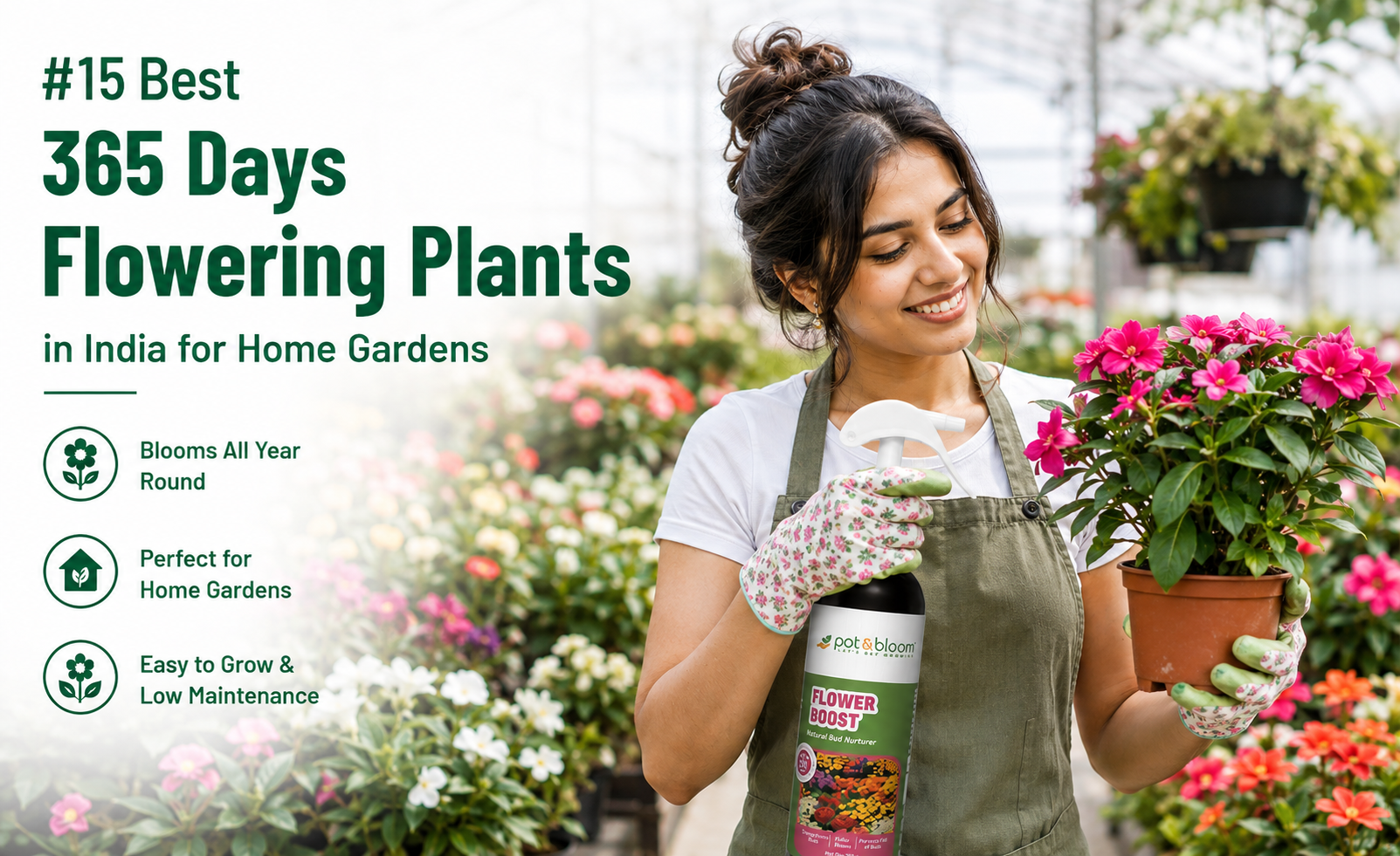 15 Best 365 Days Flowering Plants in India for Home Gardens