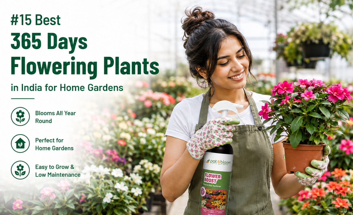15 Best 365 Days Flowering Plants in India for Home Gardens