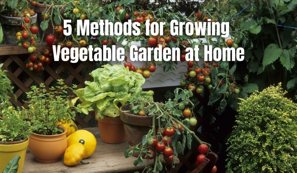 Growing Method 5 Methods for Growing a Vegetable Garden at Home – Pot and Bloom