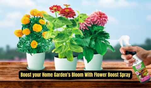 Boost your Home Garden's Bloom With Flower Boost Spray