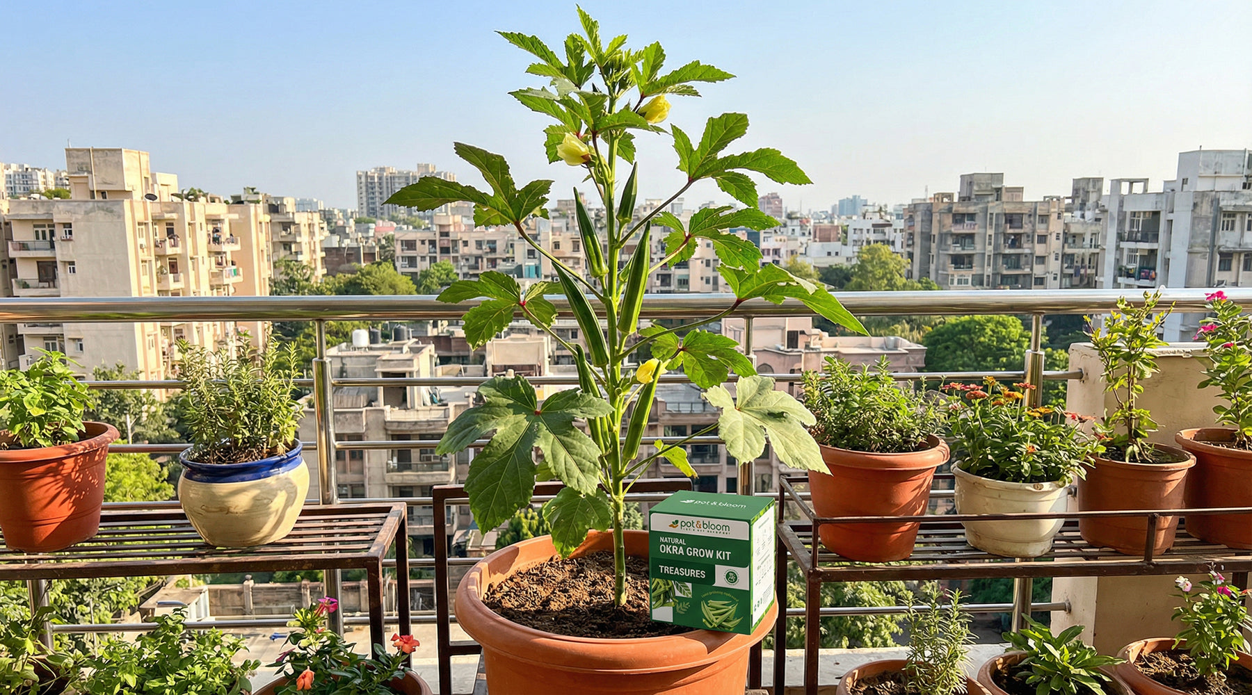 How to Grow Bhindi (Okra) at Home: Step-by-Step Guide for Indian Gardens