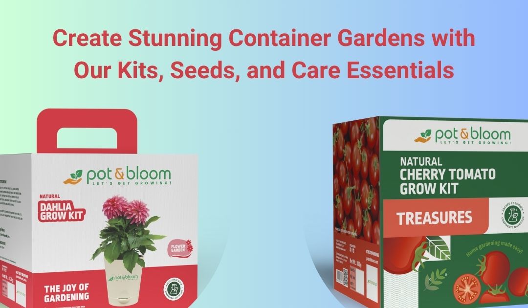 Create Stunning Container Gardens with Our Kits, Seeds, and Care Essentials