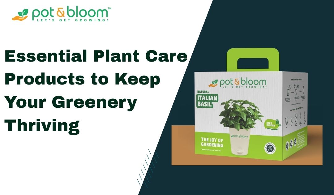 Essential Plant Care Products to Keep Your Greenery Thriving – Pot and ...