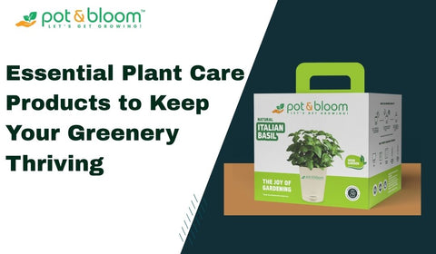 Essential Plant Care Products to Keep Your Greenery Thriving