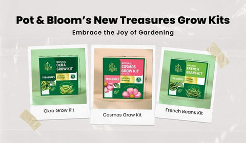 Embrace the Joy of Gardening: Pot & Bloom’s New Treasures Grow Kits