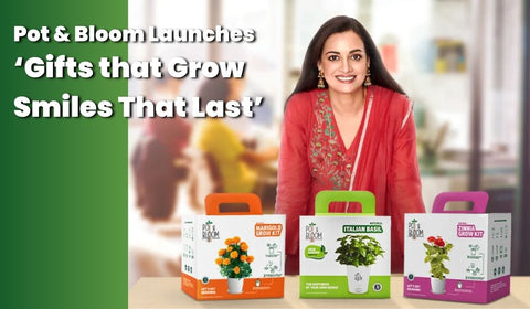 Pot & Bloom Launches ‘Gifts that Grow Smiles That Last’: The Timeless Choice for Gifting