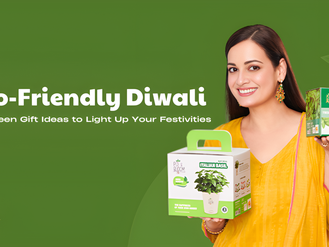 gardening-blogs-top-plant-gardening-basics-blogs-online-at-pot-and-bloom