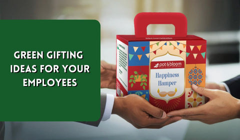 Green Gifting Ideas for Your Employees