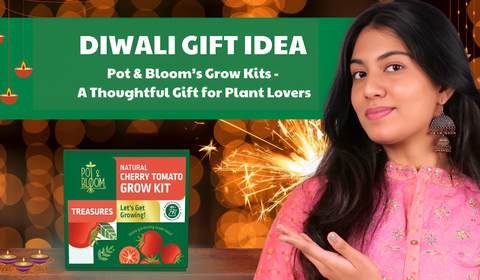 Diwali Gift Idea: Pot & Bloom’s Grow Kits – A Thoughtful Gift for Plant Lovers