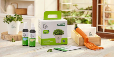 A Taste of Nature: Must-Have Herbs to Cultivate in Your Home Garden